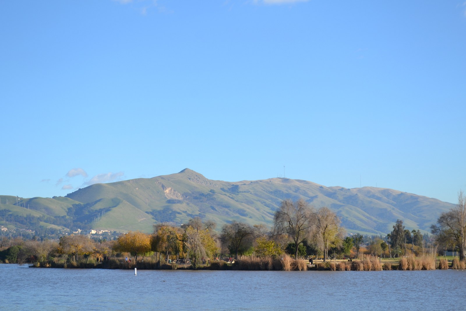 Fremont California neighborhood